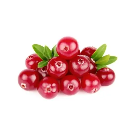 Cranberies Preiselbeeren - Dehydriert