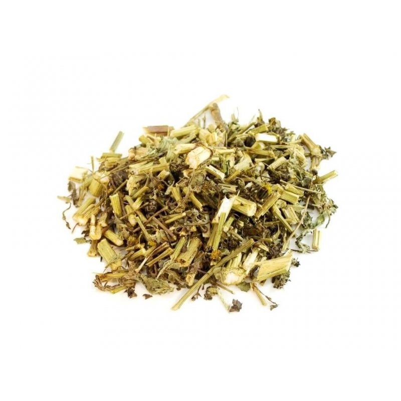 Picão Preto Blackjack Herbal Tea (Bidens pilosa L.)