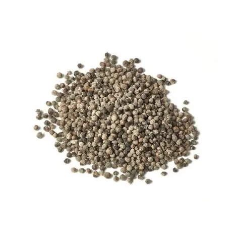 Vitex Agnus castus