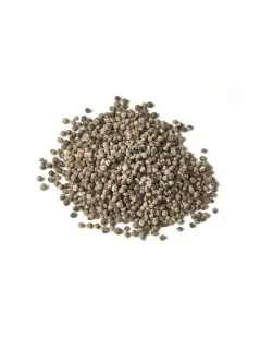 Vitex Agnus castus