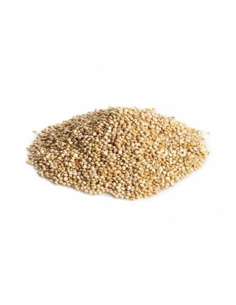 Les Graines De Quinoa