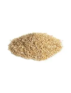 Les Graines De Quinoa