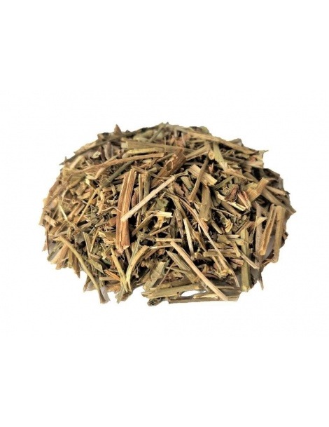 Lotus Herbal Tea - Lotus corniculatus L.