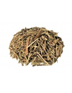 Lotus Herbal Tea - Lotus corniculatus L.