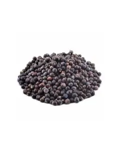 Juniper berries (Juniperus communis)