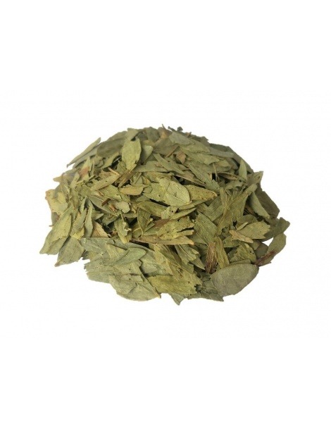 Un tè di Senna (Cassia angustifolia)
