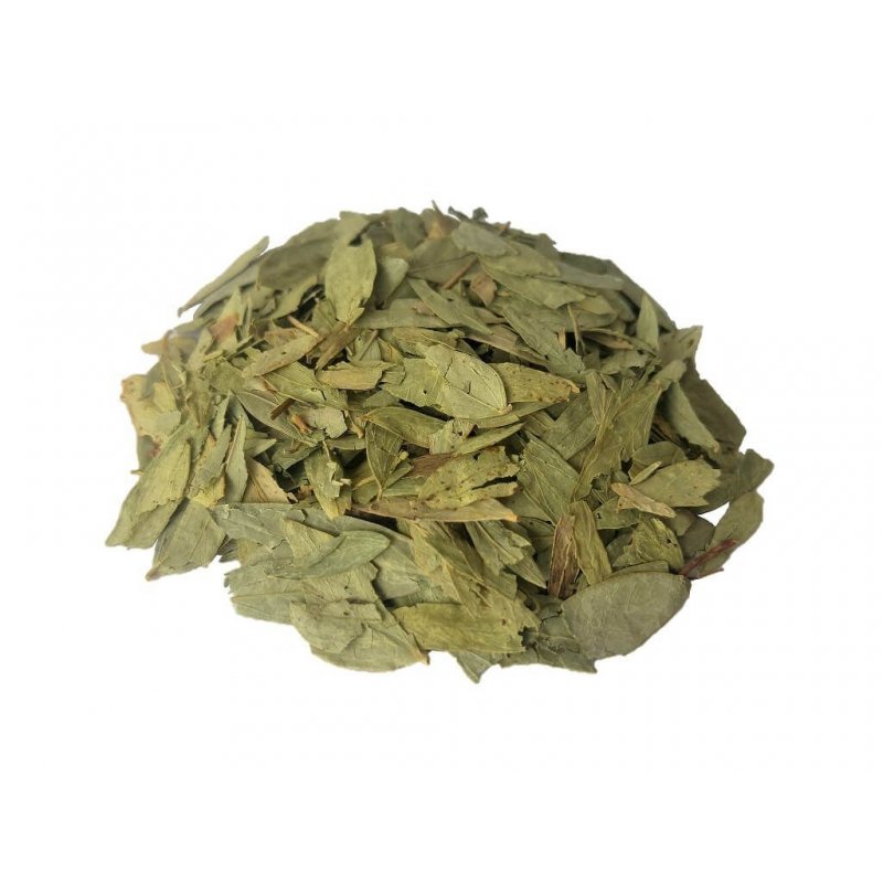 Chá de Sene (Cassia angustifolia)