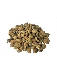 Des grains de Café vert (Coffea)
