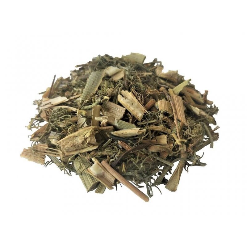 Un tè dalla pianta di Finocchio Foeniculum vulgare