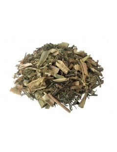 Fennel Herbal Tea (Foeniculum vulgare)