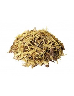 Chá de Alcaçuz (Glycyrrhiza glabra L.)