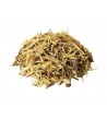 Licorice Root Tea (Glycyrrhiza glabra L.)