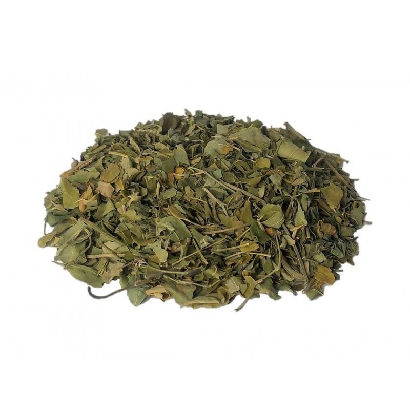 Chá de Moringa Oleifera em folhas
