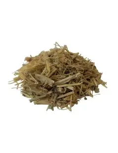 Ginseng root