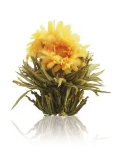 Caixa de Madeira com 12 Flores de Chá