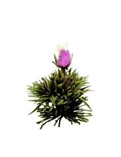 Caixa de Madeira com 12 Flores de Chá