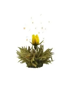 Caixa de Madeira com 12 Flores de Chá