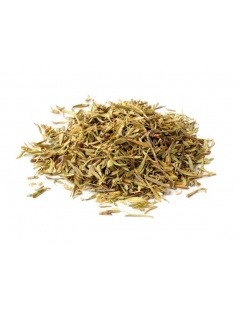 Tea of Thyme (Thymus vulgaris)