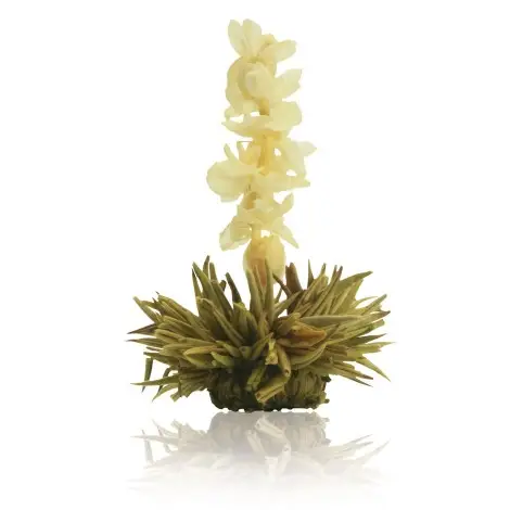 Caixa de Madeira com 12 Flores de Chá | Creano Blooming Teas | Flor de Chá