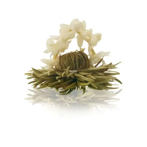 Caixa de Madeira com 12 Flores de Chá | Creano Blooming Teas | Flor de Chá