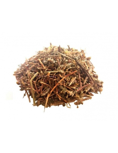 Tee Calafito (Hypericum tomentosum)