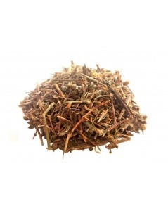 Calafito herbal tea (Hypericum tomentosum)