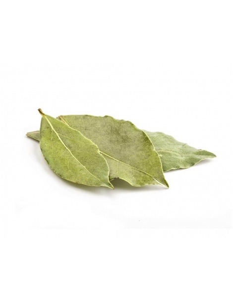 Bay leaf (Laurel)
