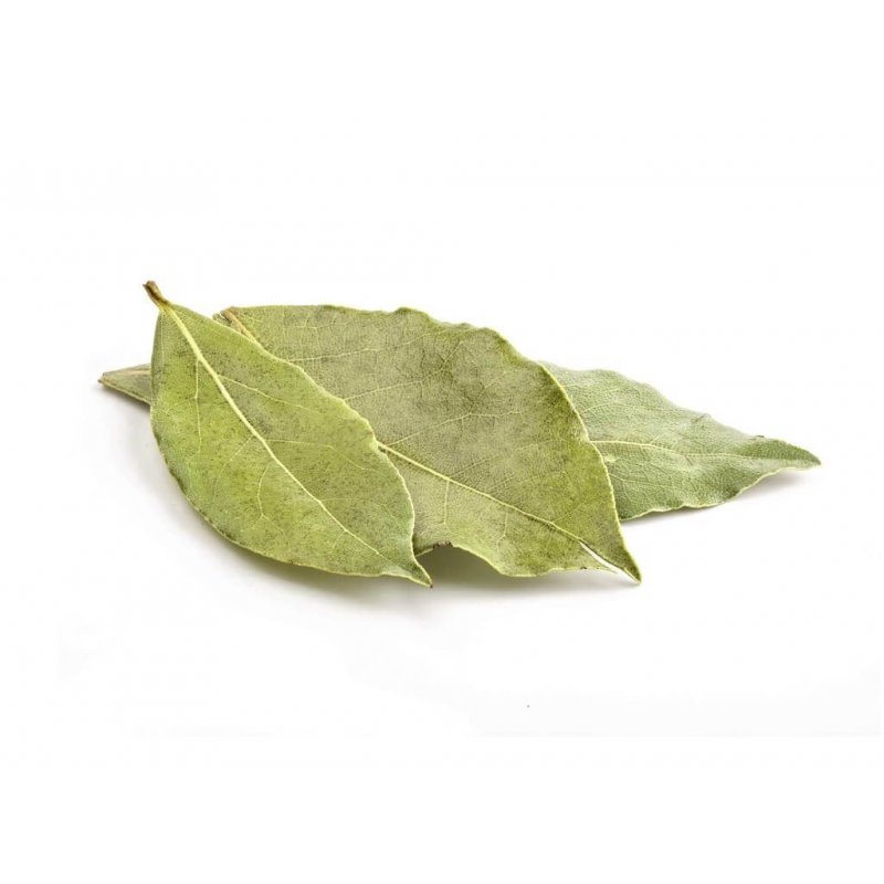 Bay leaf (Laurel)