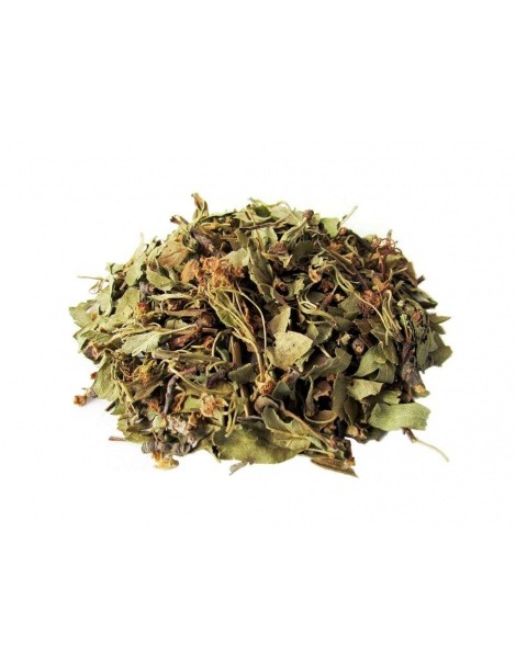 Tè di Biancospino (Crataegus oxyacantha L)