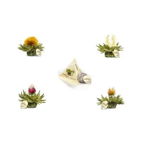 Pack De 4 Fleurs De Thé Tealini