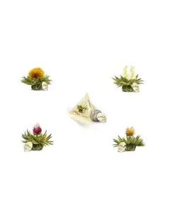 Pack De 4 Fleurs De Thé Tealini
