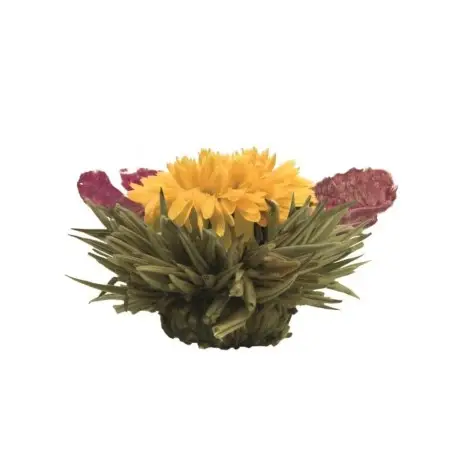 Caixa de Madeira com 12 Flores de Chá | Creano Blooming Teas | Flor de Chá