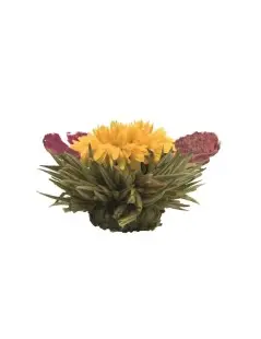 Caixa de Madeira com 12 Flores de Chá