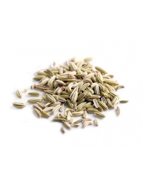 Chá de erva doce - Pimpinella anisum - Chá de anis