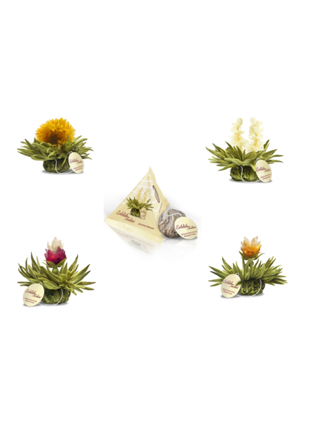 Caixa Tealini com 8 Flores + Chávena