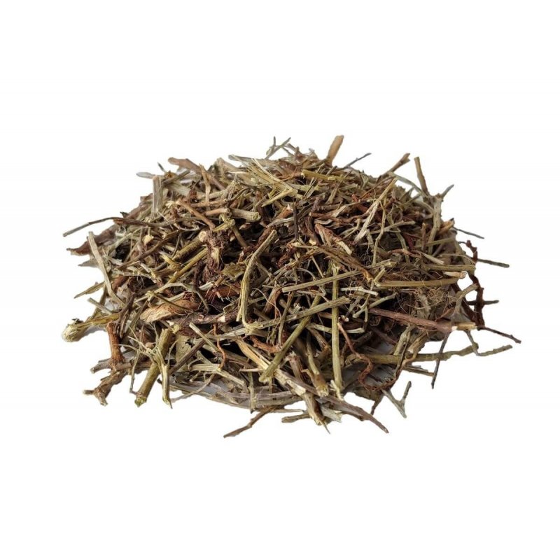 Chá de Quebra Pedra (Phyllanthus niruri)