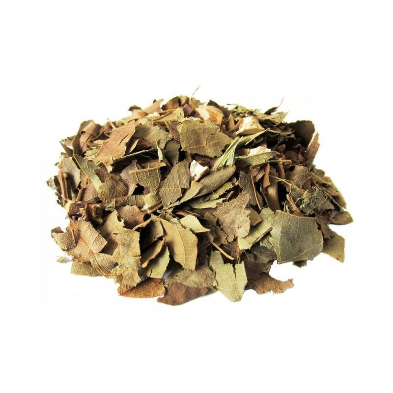 Chá de Abacate - Abacateiro folhas - Persea Americana