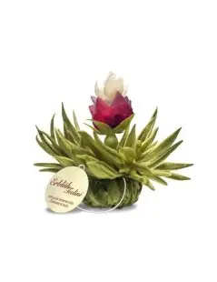 Tealini Box with 8 Blooming Teas