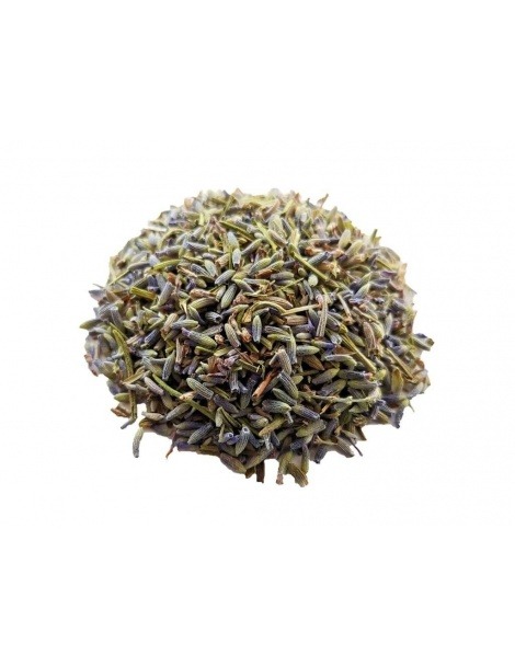 Chá de Alfazema - Lavandula angustifolia