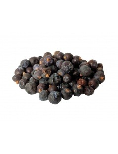 Juniper berries (Juniperus communis)