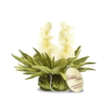 Tealini Box with 8 Blooming Teas | Flowering Teas | Tea Balls | Creano