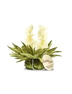 Tealini Box with 8 Blooming Teas
