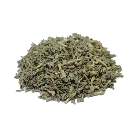 Basil - Ocimum basilicum