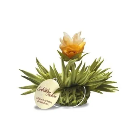 Tealini Box with 8 Blooming Teas | Flowering Teas | Tea Balls | Creano