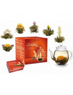 Conjunto - Bule + Caixa com 6 Flores de Chá