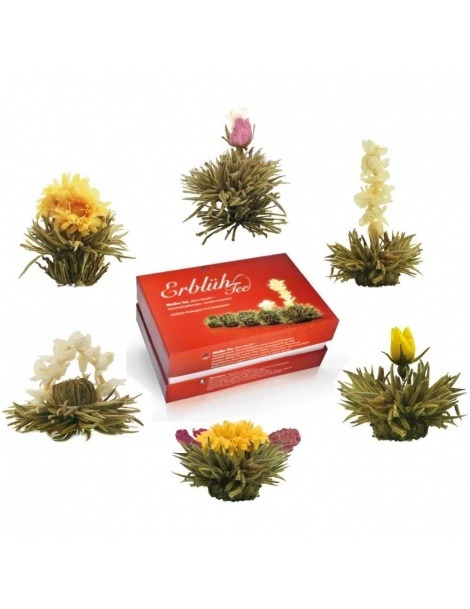 Conjunto - Bule + Caixa com 6 Flores de Chá