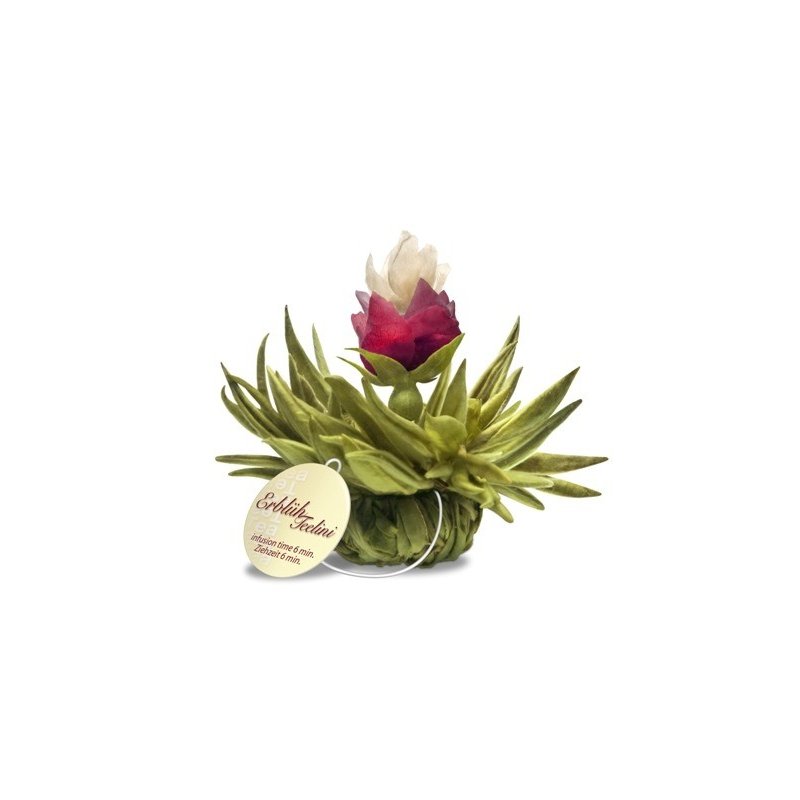 Blumen-Tee - Tealini Pearl Peach