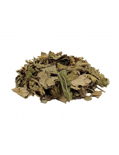 Plantain Tea leaves (Plantago major)