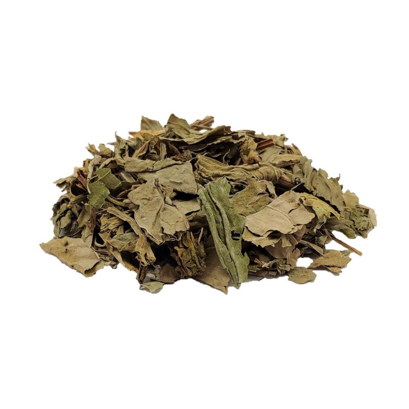 Plantain Tea leaves (Plantago major)