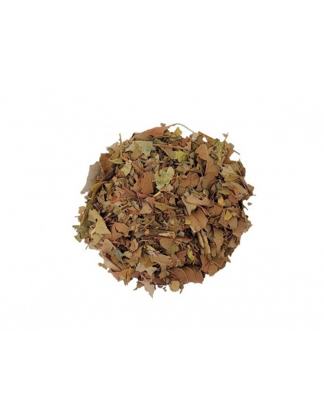 Guava herbal Tea (Psidium guajava Linné)